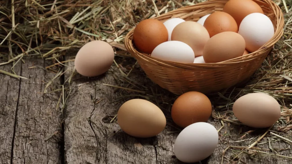 Tips Memilih Telur Segar dan Berkualitas Telur segar dan Layak Konsumsi